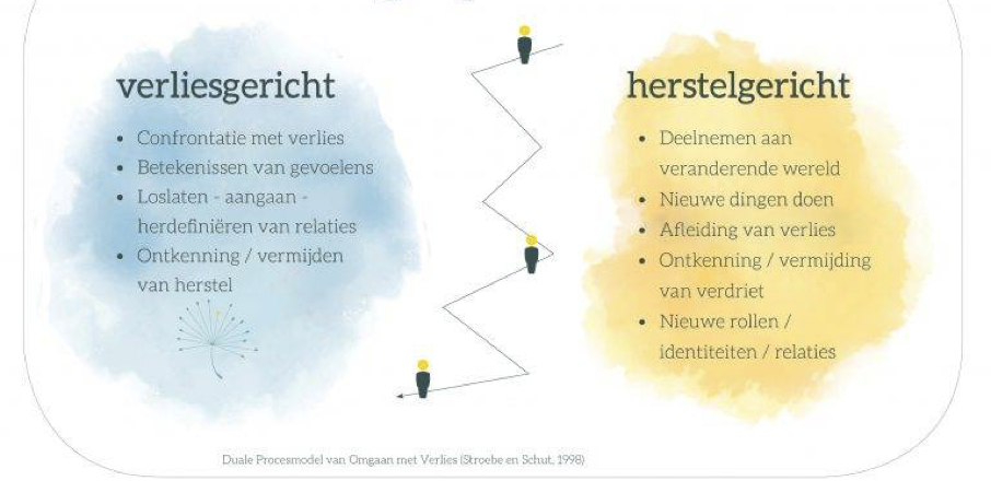 een visuele weergave van het Duale Procesmodel van Stroebe en Schut. Links staat een kolom met punten die onder verliesgericht gaan en rechts staan punten die gaan over herstelgericht. Hart Geraakt maakt gebruik van dit rouwmodel.
